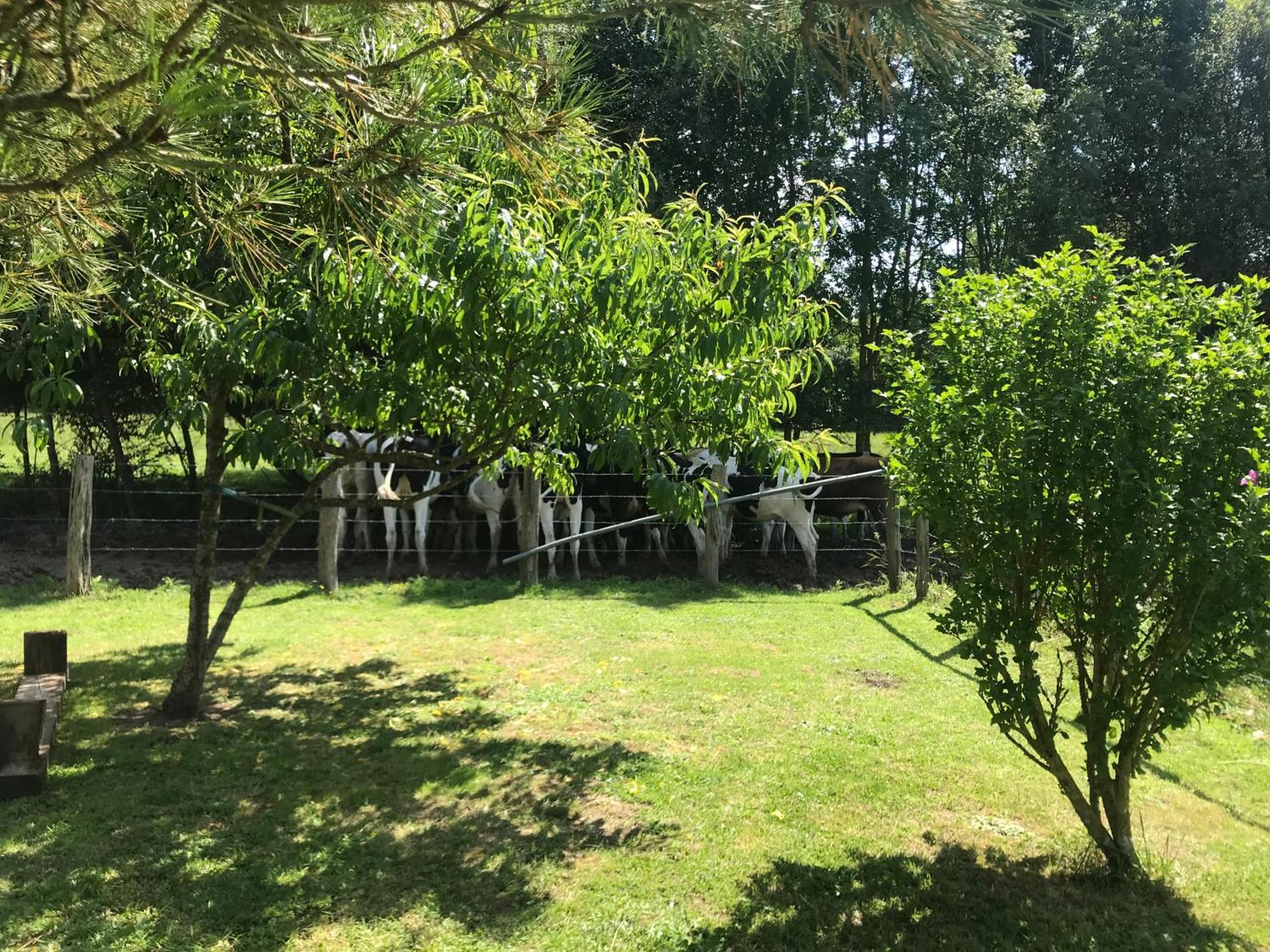 Le Vallon Du Perche Country house Champeaux-sur-Sarthe